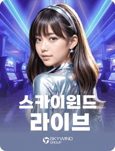 스카이윈드티비